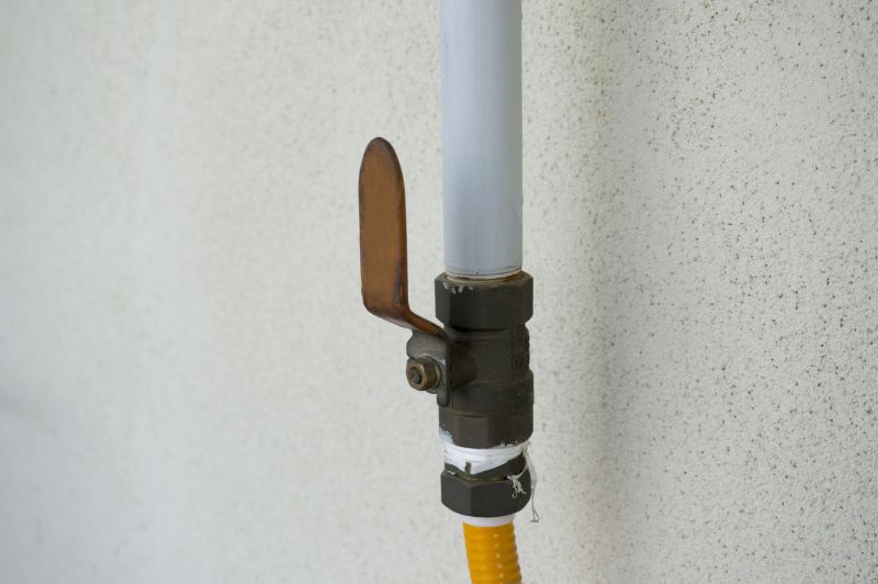 Professional Gas Line Inspection